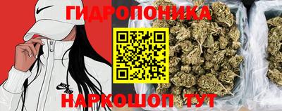ешки Кимры