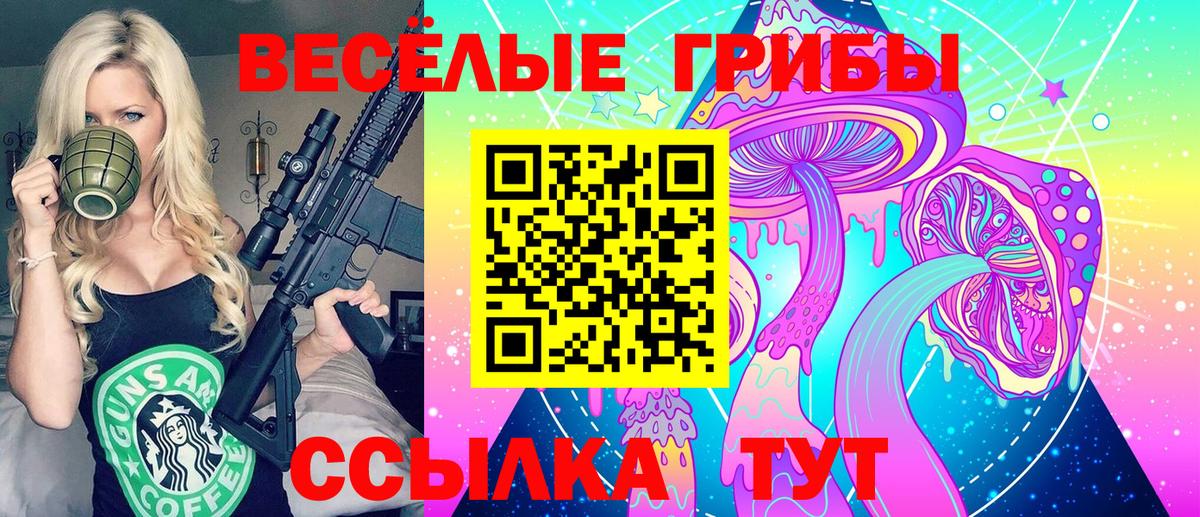 Галлюциногенные грибы прущие грибы Ленинск-Кузнецкий