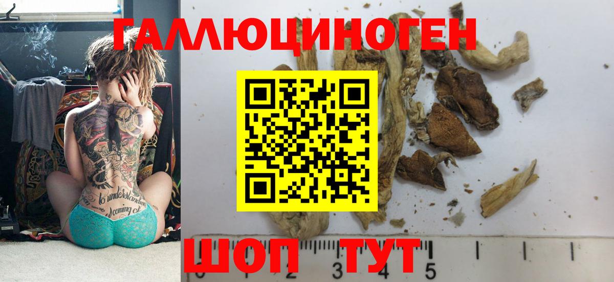 Псилоцибиновые грибы прущие грибы Ленинск-Кузнецкий