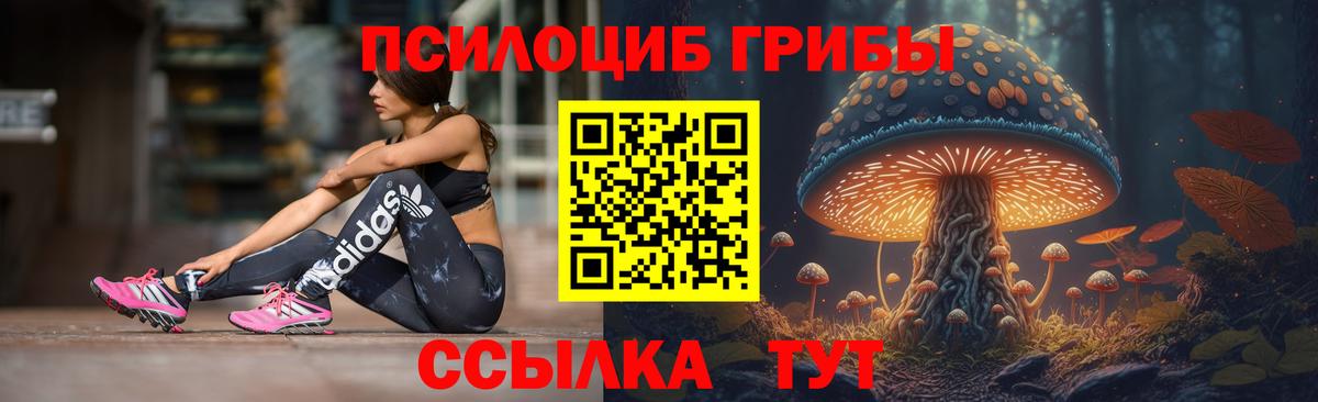 Псилоцибиновые грибы мухоморы  закладки  Ленинск-Кузнецкий  Псилоцибиновые грибы MAGIC MUSHROOMS  Вход с VPN 